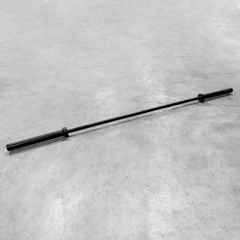 Fabrieksgroothandel RVS halter - Olympic Barbell 20Kg recensie en prijs